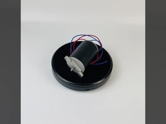 o ímã permanente de 300W 500W escovou o torque alto 24V 48V do motor da C.C. para o cortador de grama