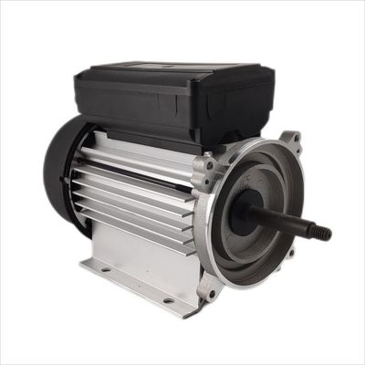 fase monofásica 1hp elétrico 3000rpm do motor 300-500W submergível para as bombas de circulação