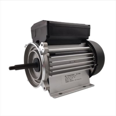 fase monofásica 3000rpm do motor elétrico da bomba de água 300-700W para as bombas dos termas e da banheira