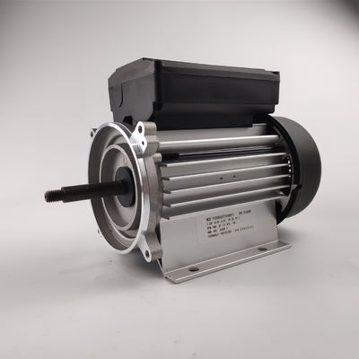 fase monofásica 3000rpm do motor elétrico da bomba de água 300-700W para as bombas dos termas e da banheira