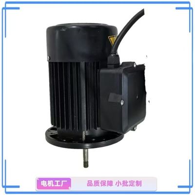 Motor de bomba de água de fase única compacto de 1 HP - Ideal para jardim e casa