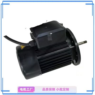 Motor de bomba de água de fase única compacto de 1 HP - Ideal para jardim e casa